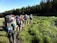 A group of hikers with large backpacks are walking in a single file along a narrow trail through a lush green meadow. The trail is surrounded by tall trees and the sky is clear. The hikers are dressed in outdoor attire, including hats and hiking boots.