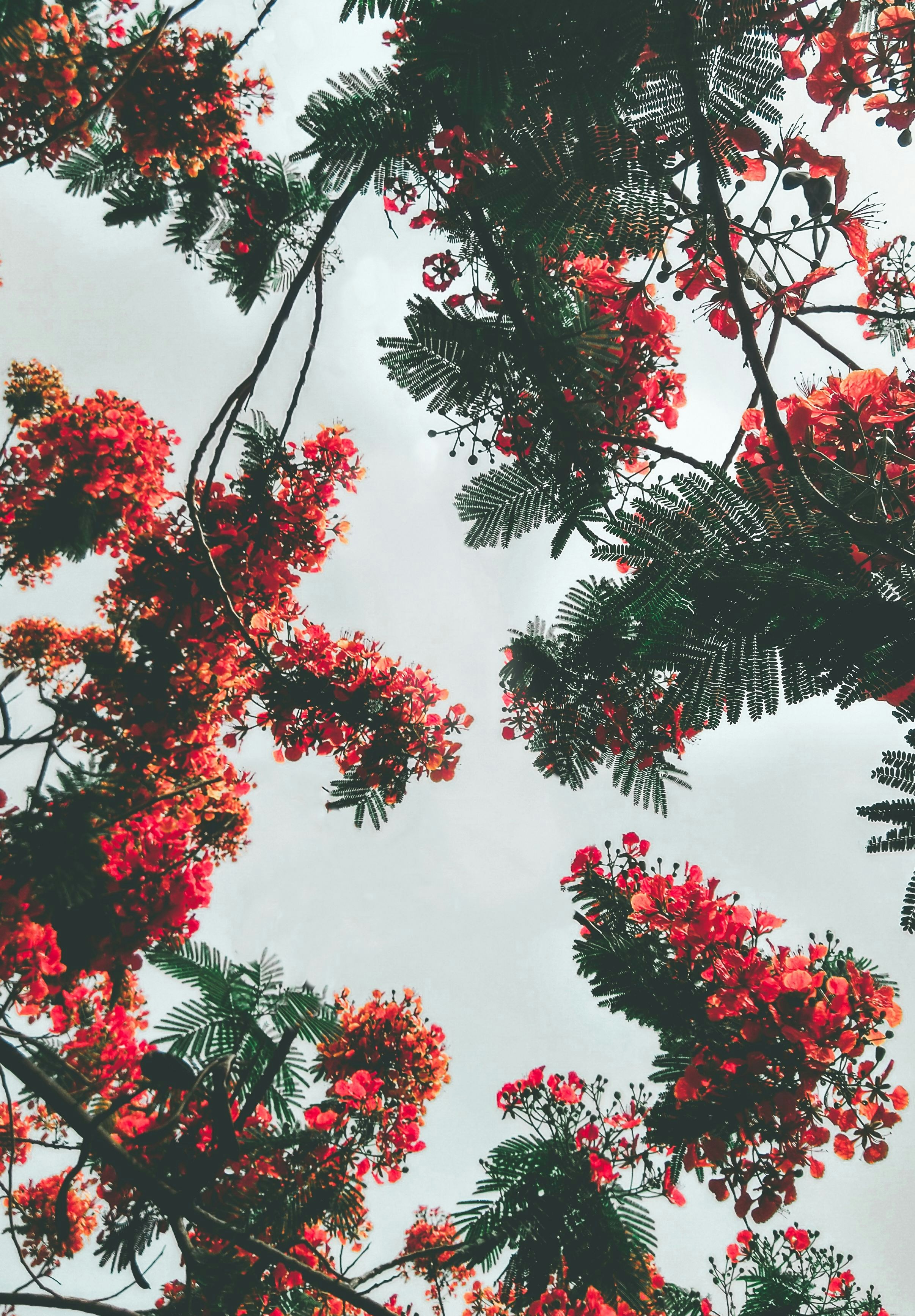 Photo by anuragsinngh