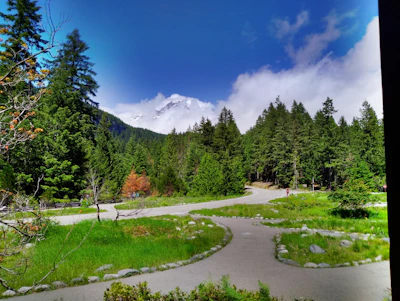 A winding forest trail in Turtle Mountain under a bright blue sky.