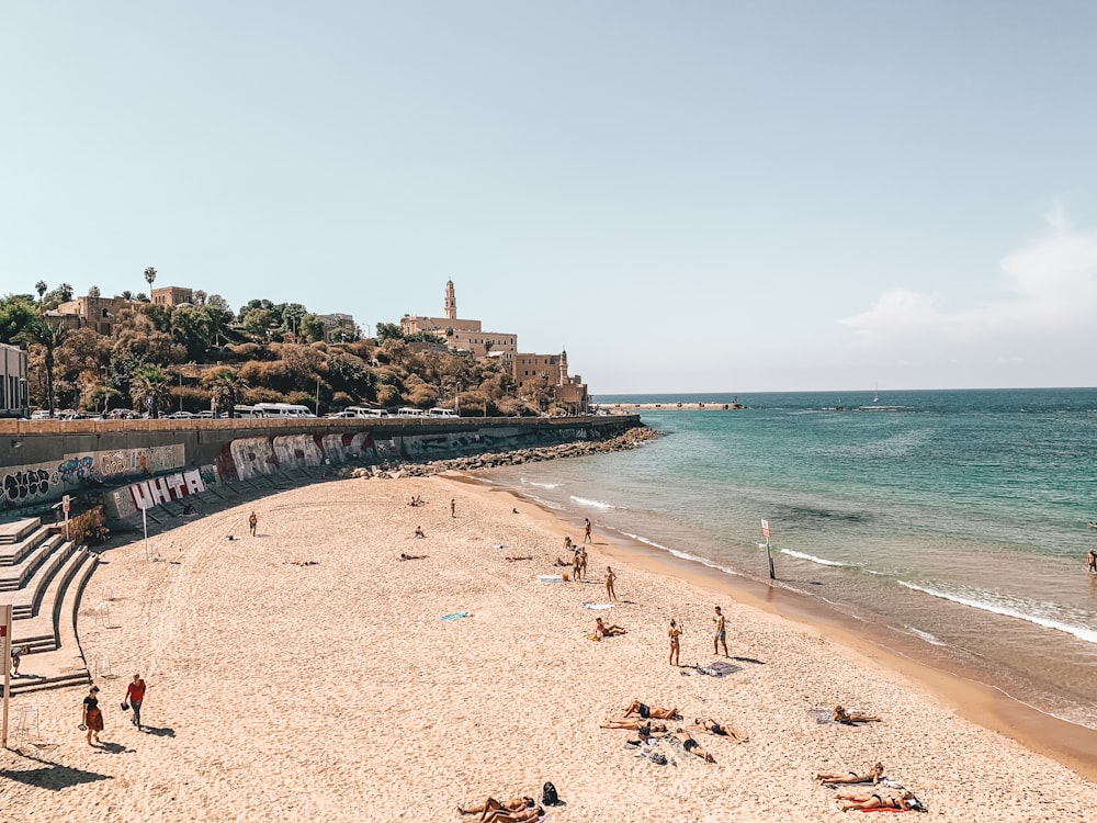 people on the beach photography