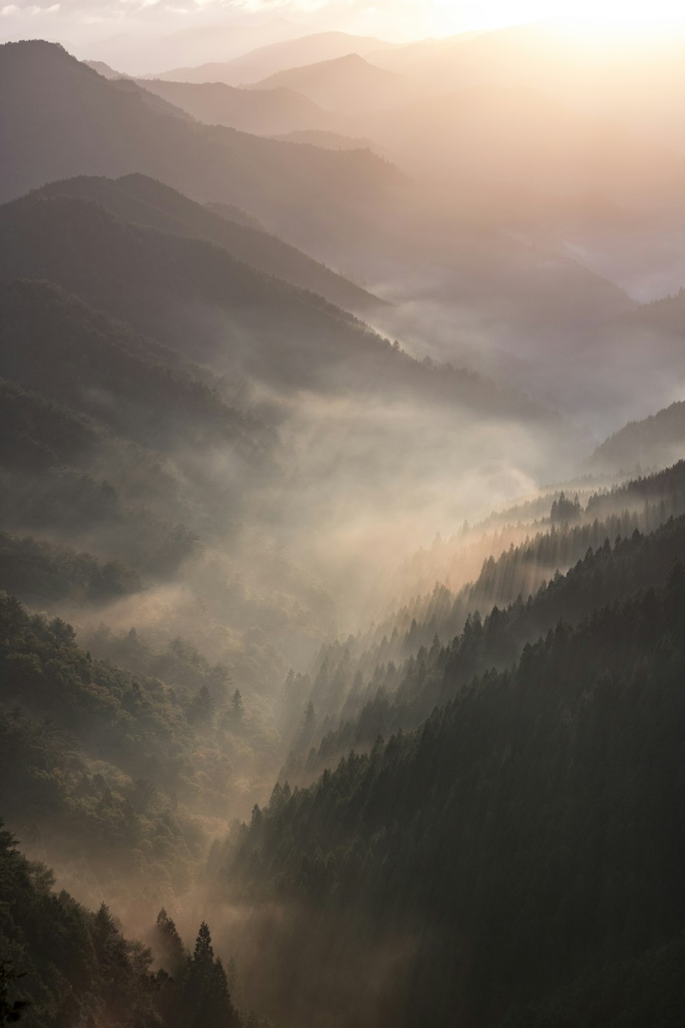 Fotografía de montaña