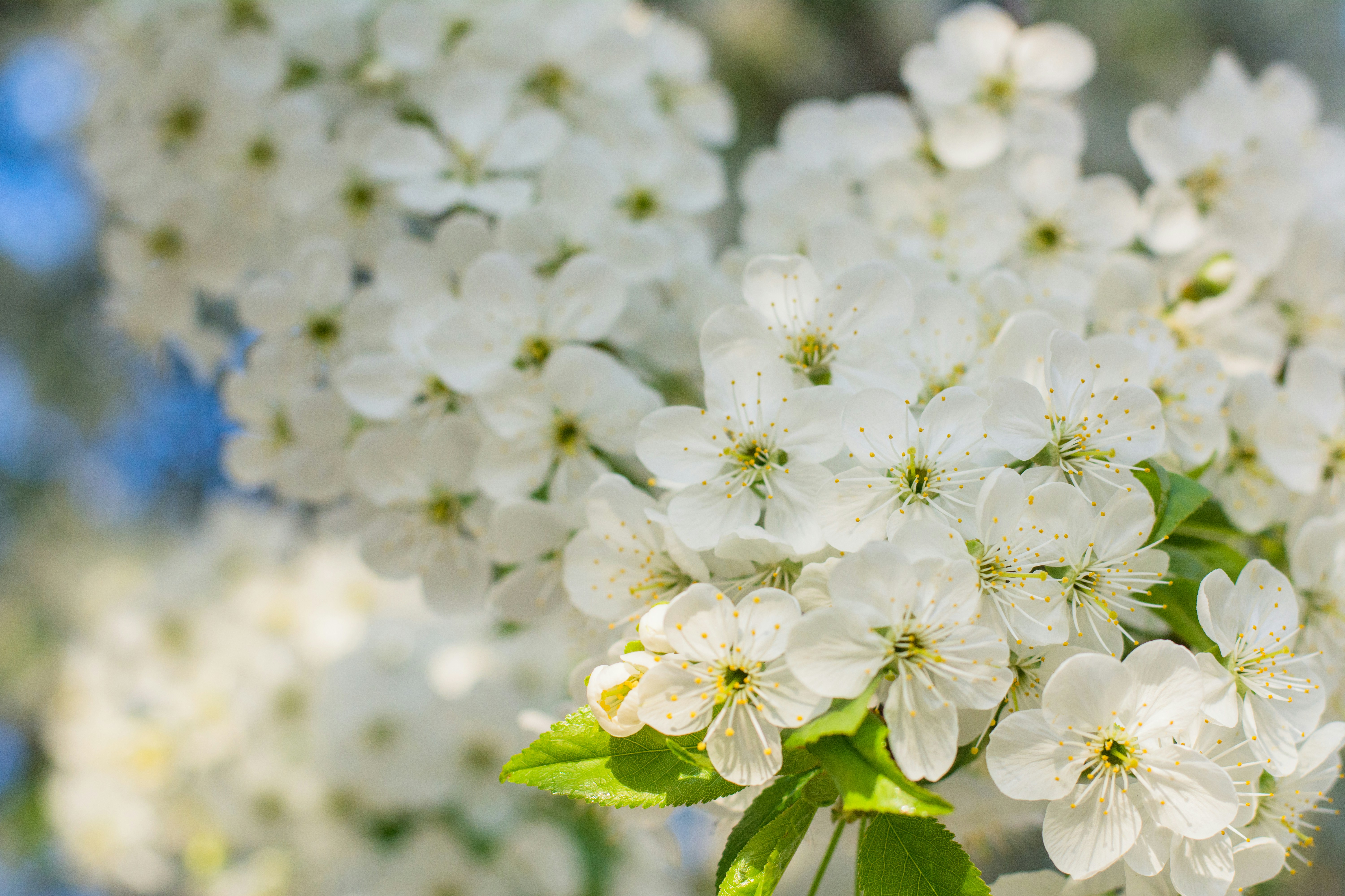 Photo by eugenivy_now