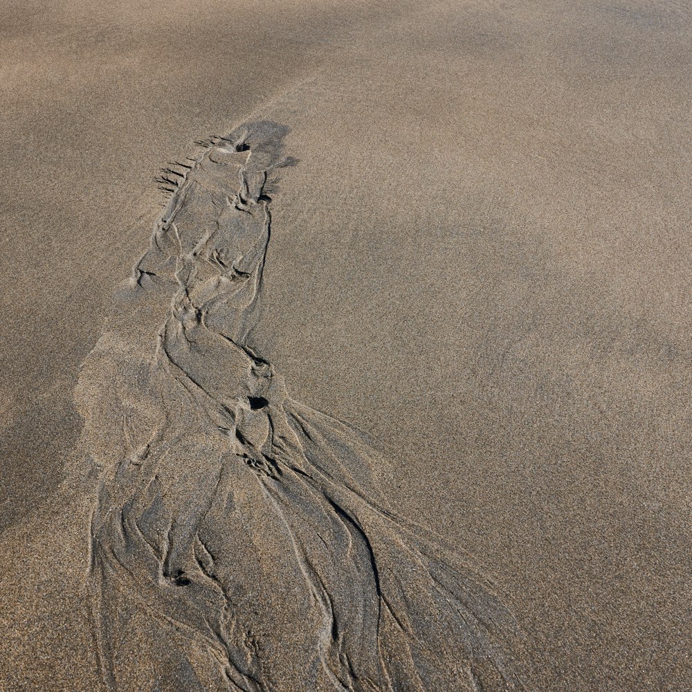 a long line of sand on a beach