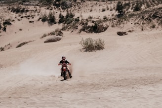 Dynamic shot of a dirt bike racing through rugged terrain.