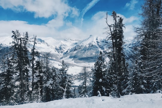 trees near snow covered mountains under cloudy sky in Livigno Italy