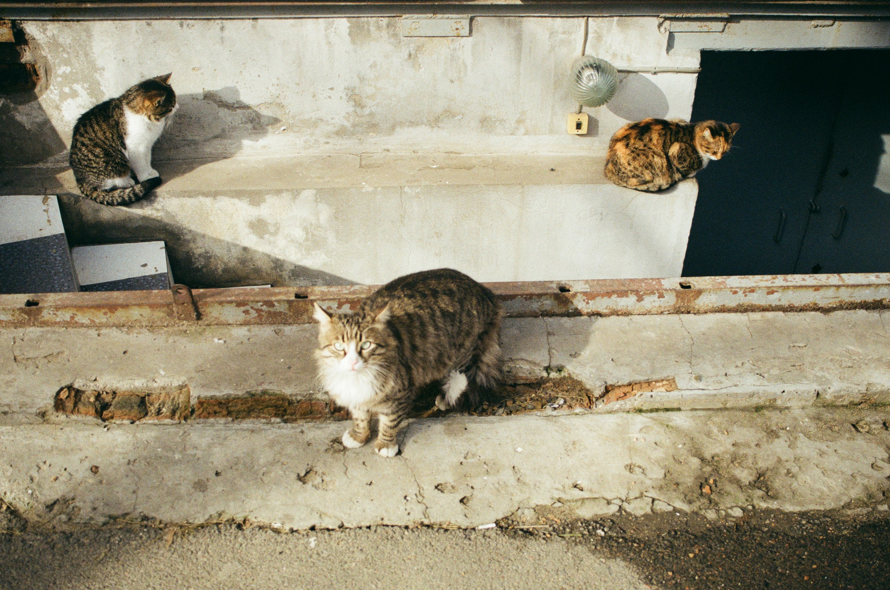 three cars resting on roof and wall