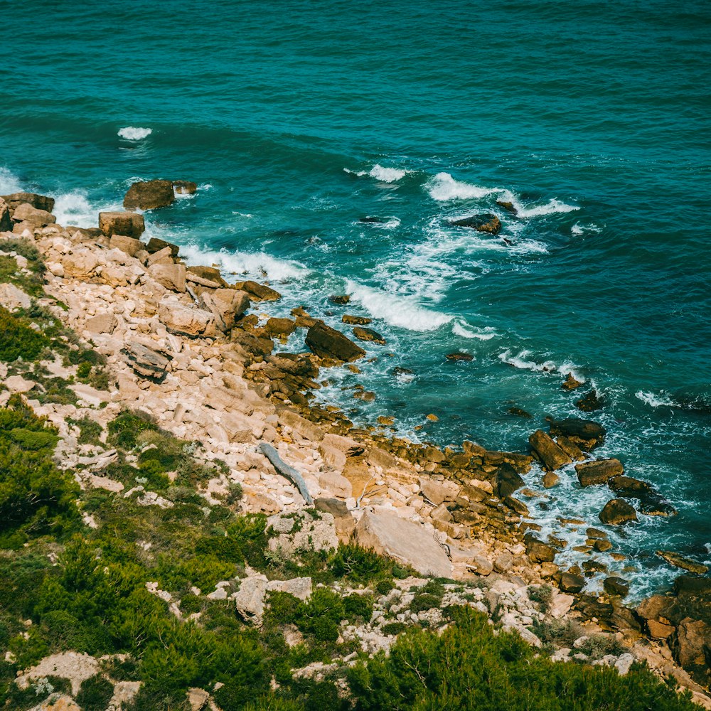 bird's eye view photography of beach line