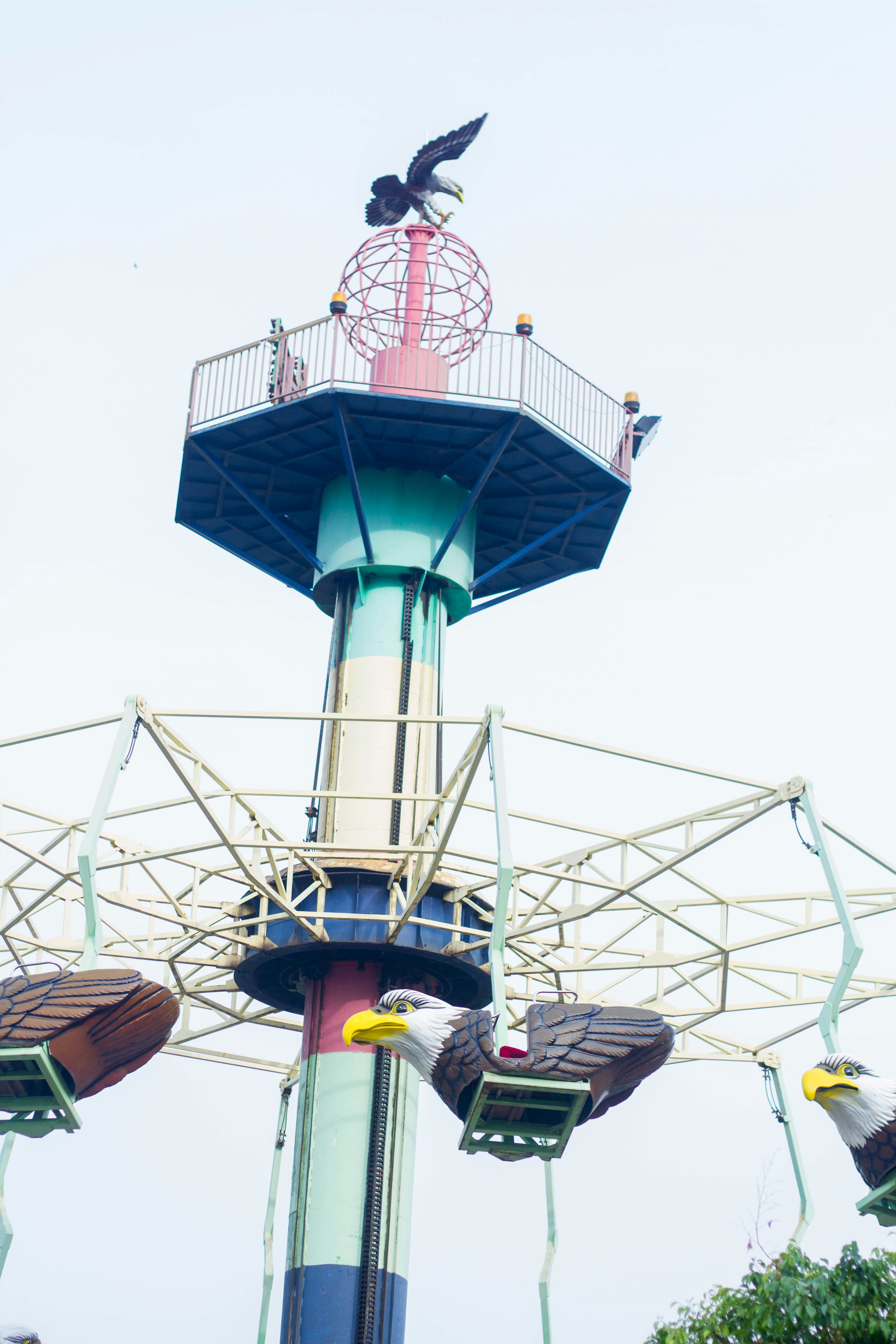 Photo by davidrotimi