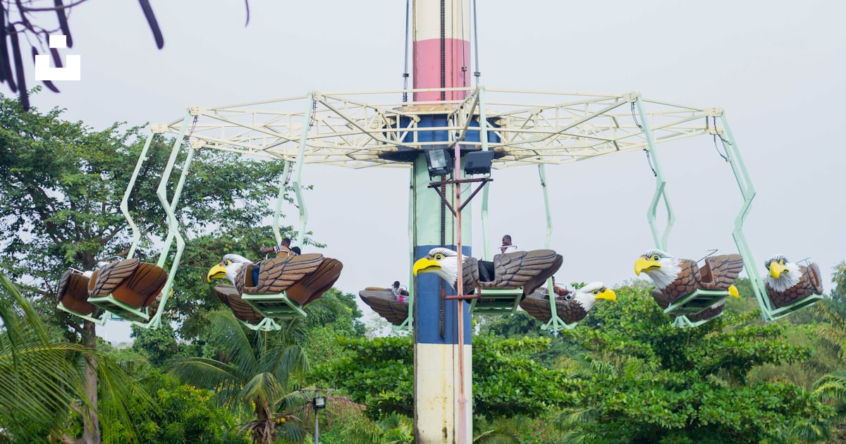 Manège de parc d’attractions blanc près des arbres photo Photo Parc d