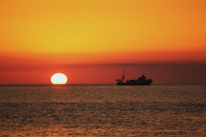 Honeymoon Paradise