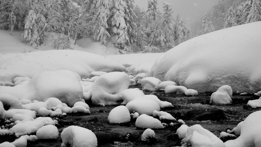 snow covering rocks on river