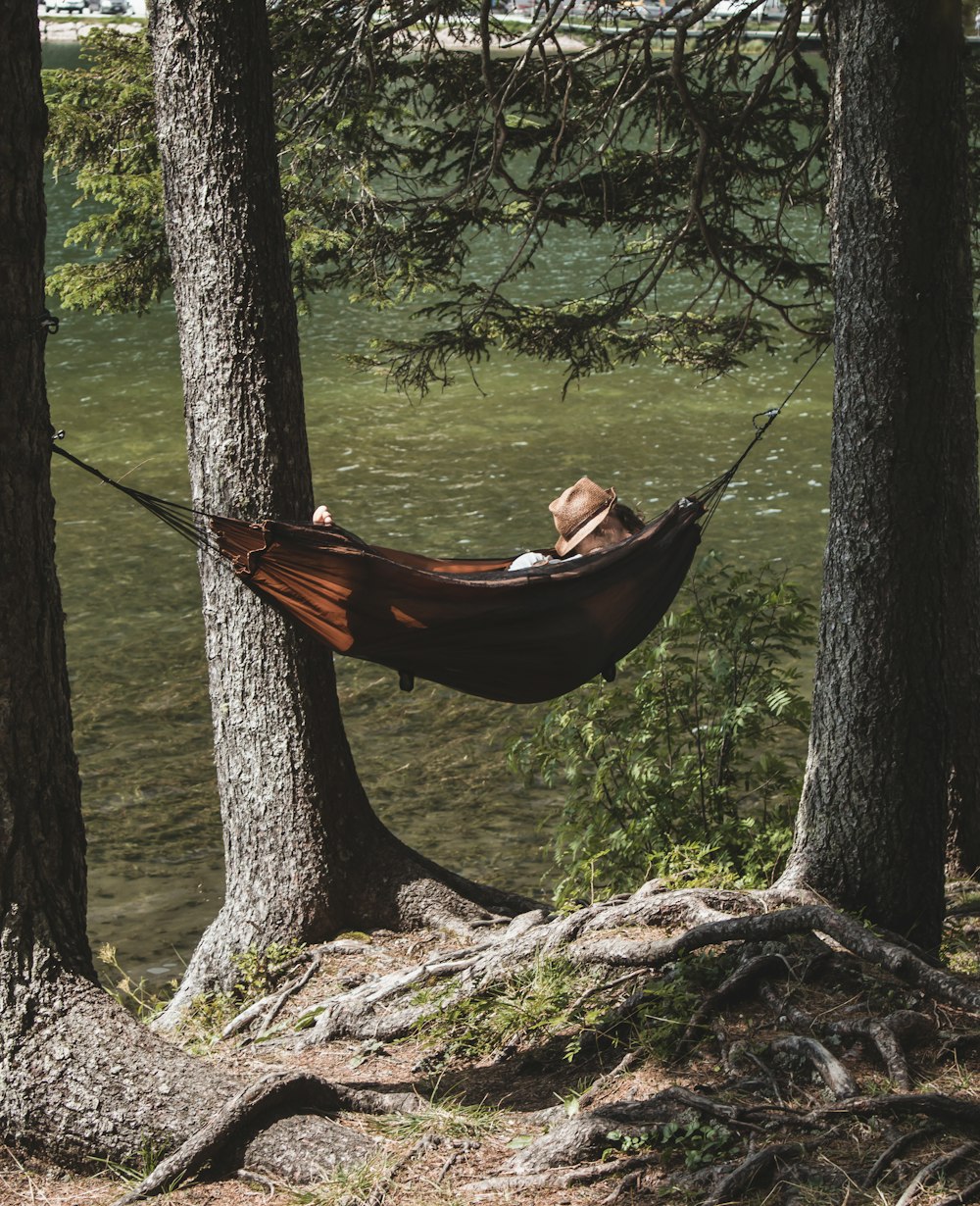 Person auf brauner Hängematte unter Baum