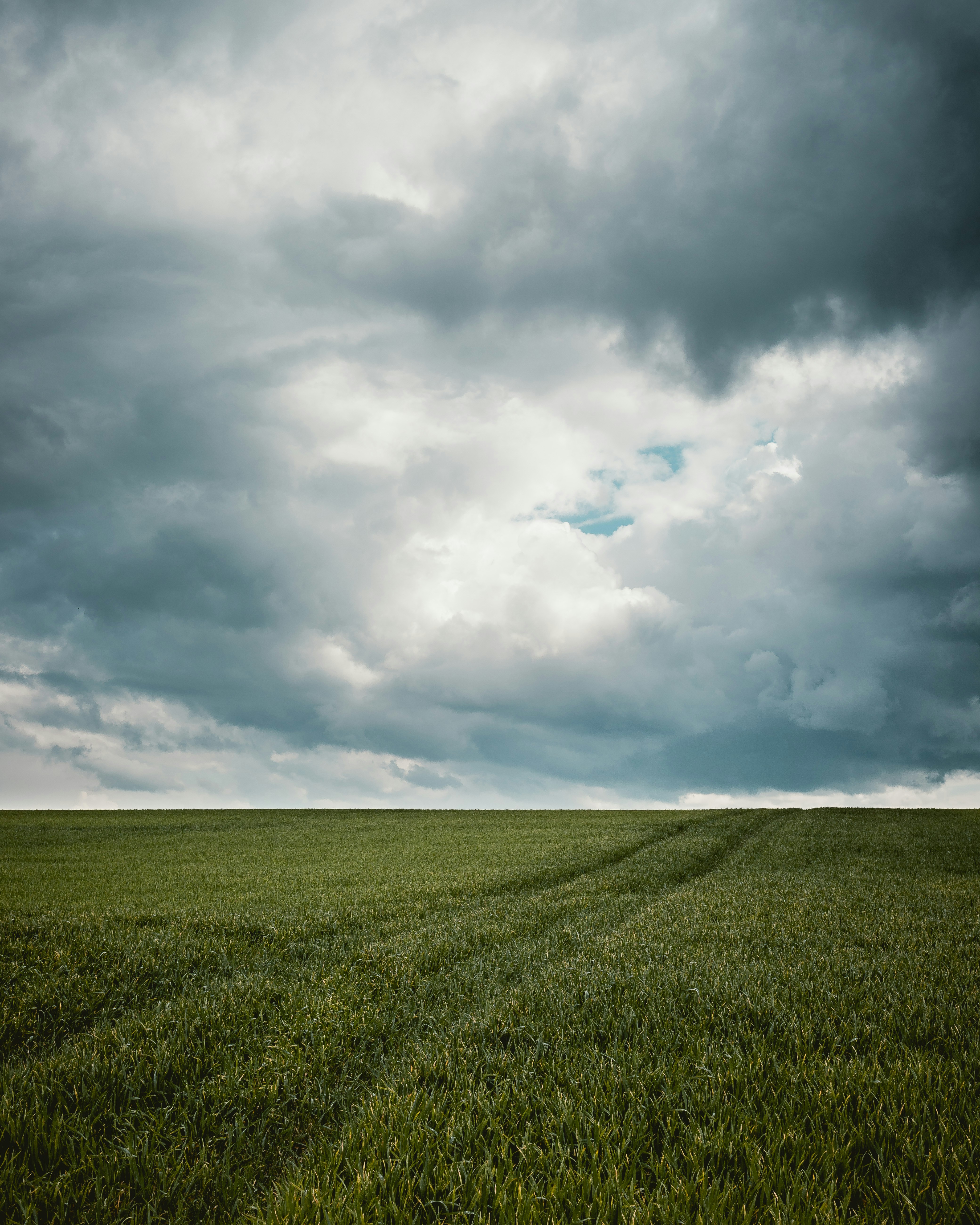 Photo by niklas_hamann