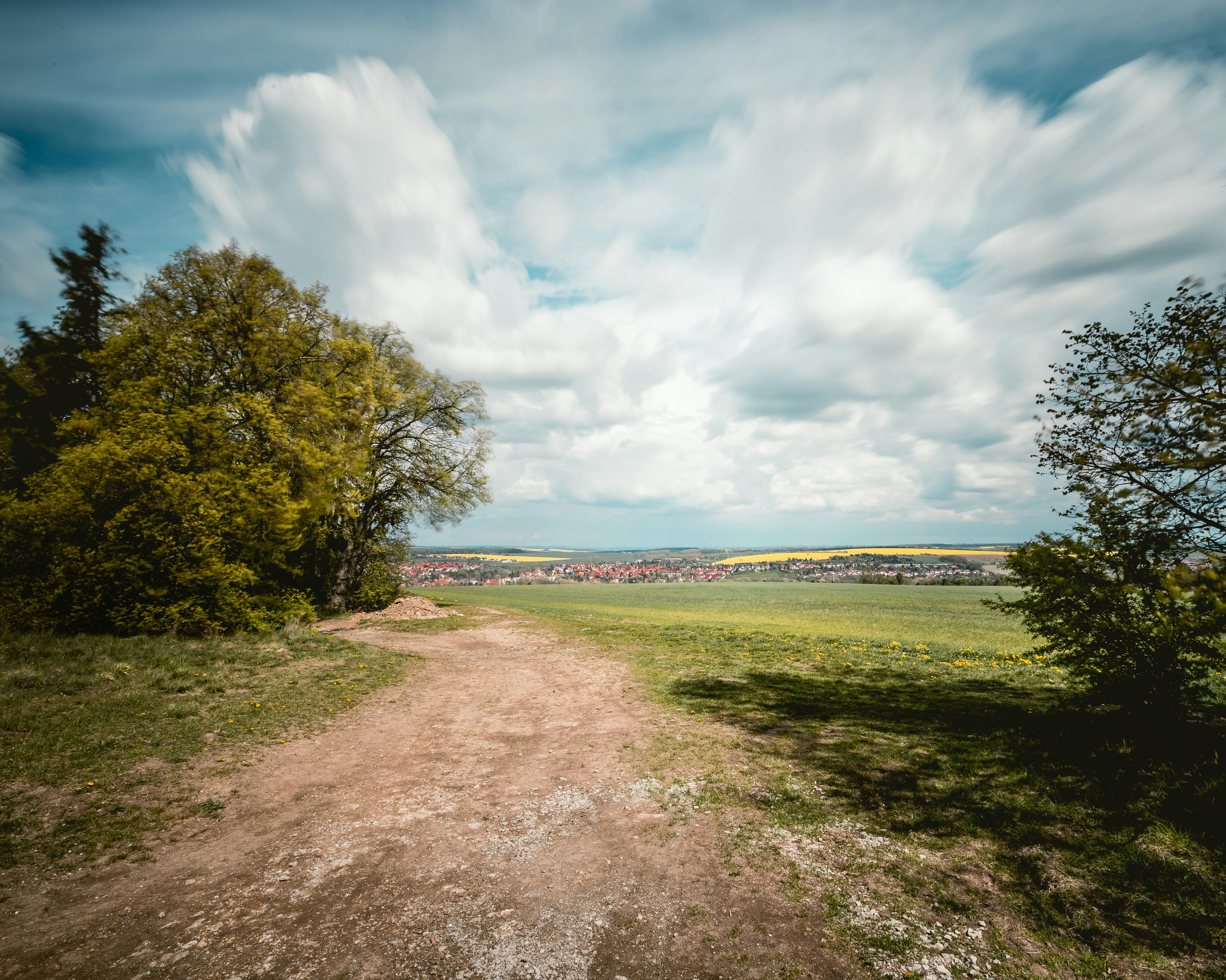 Photo by niklas_hamann