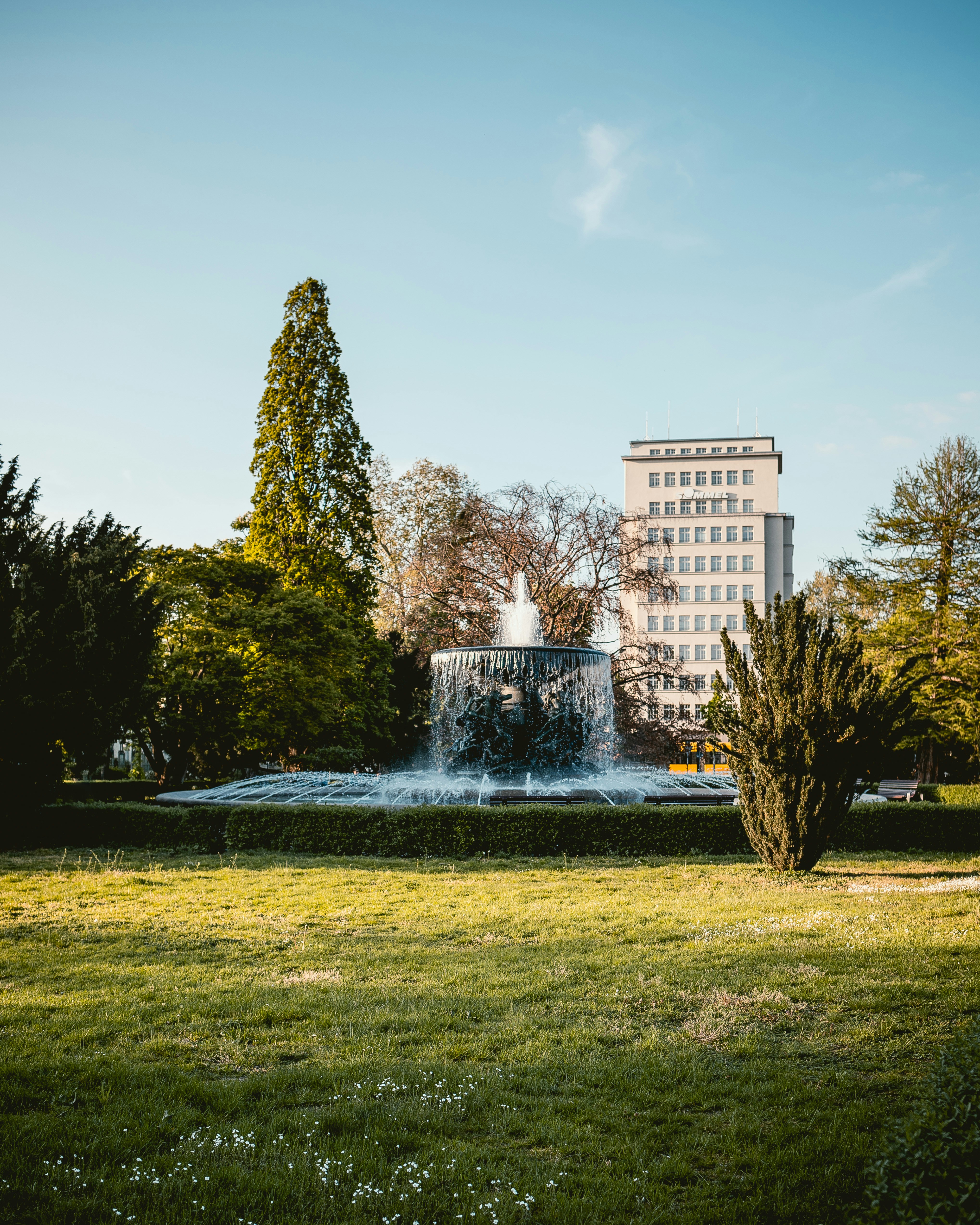 Photo by niklas_hamann
