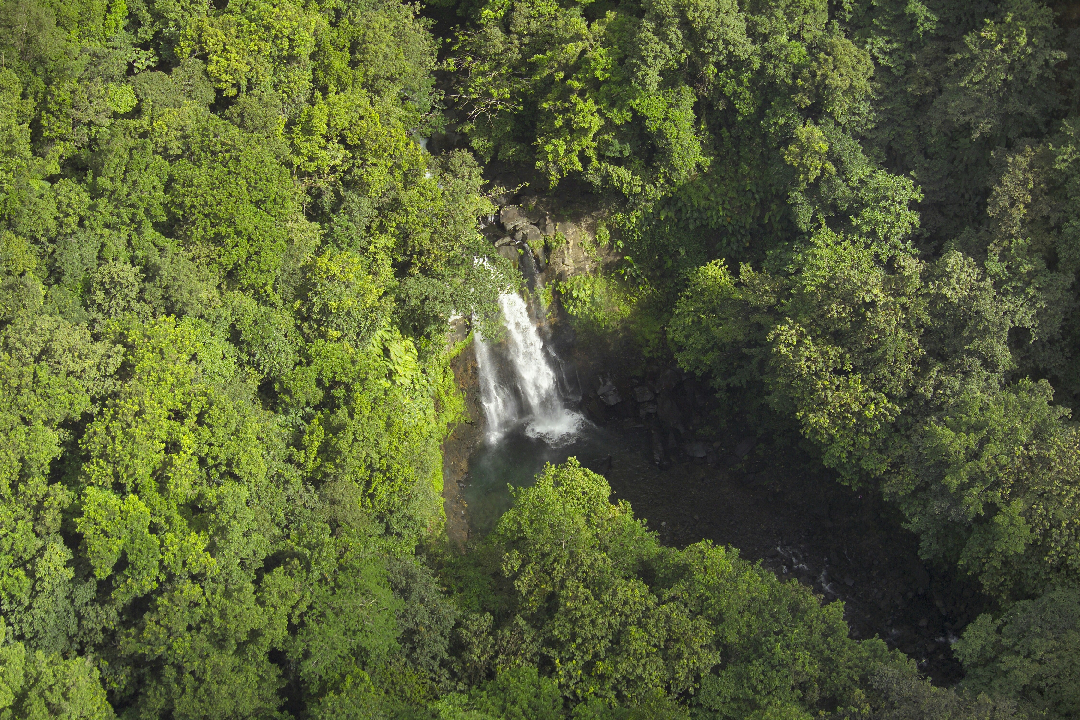 Alberi verdi incorniciano una cascata a Guadalupa