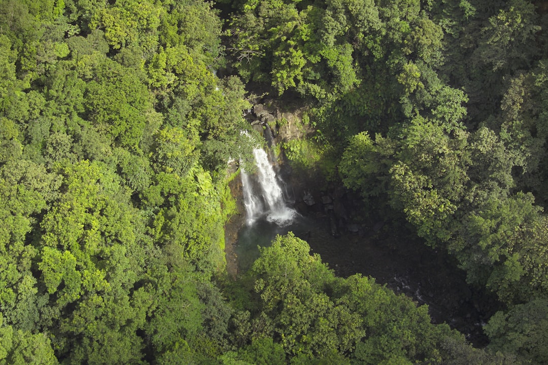 aerial view of trees near waterfalls, Waterfalls at Basse-Terre (Guadeloupe - French W.I)