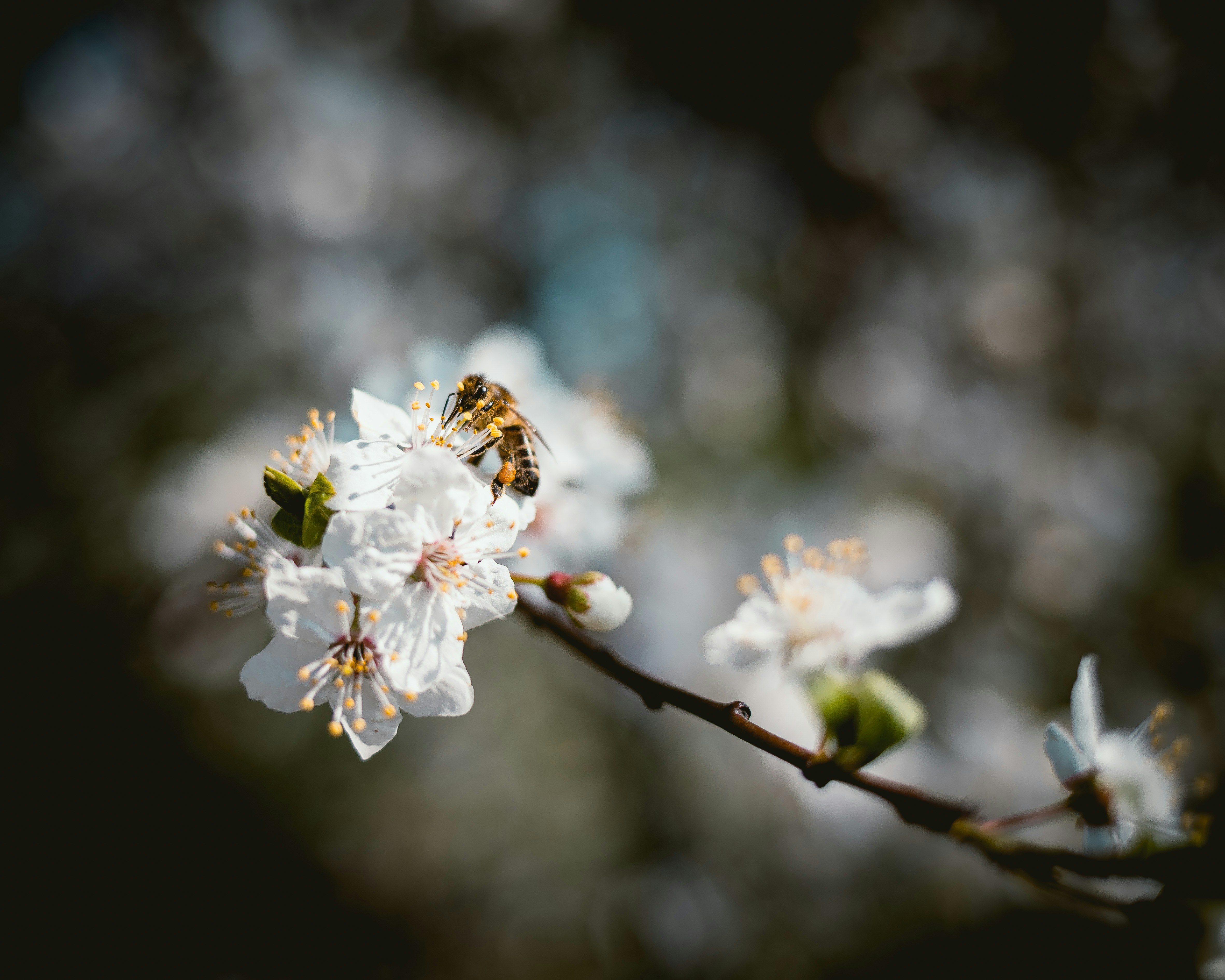 Photo by niklas_hamann