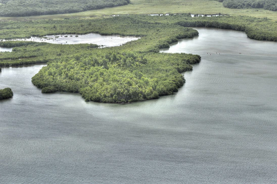 A serene African lagoon bordered by lush mangroves with local community members working together in harmony.