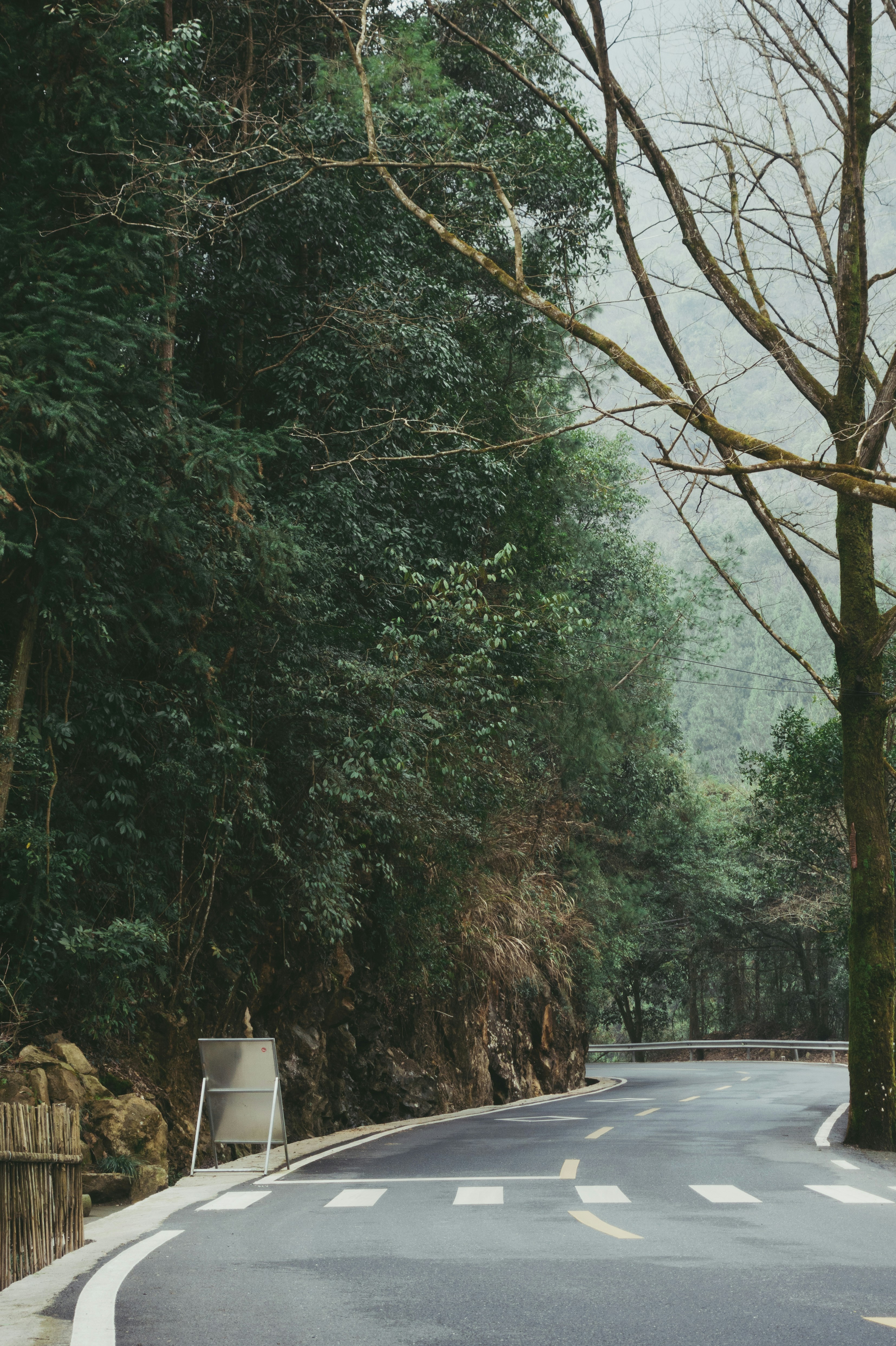 Photo by hnyuuu