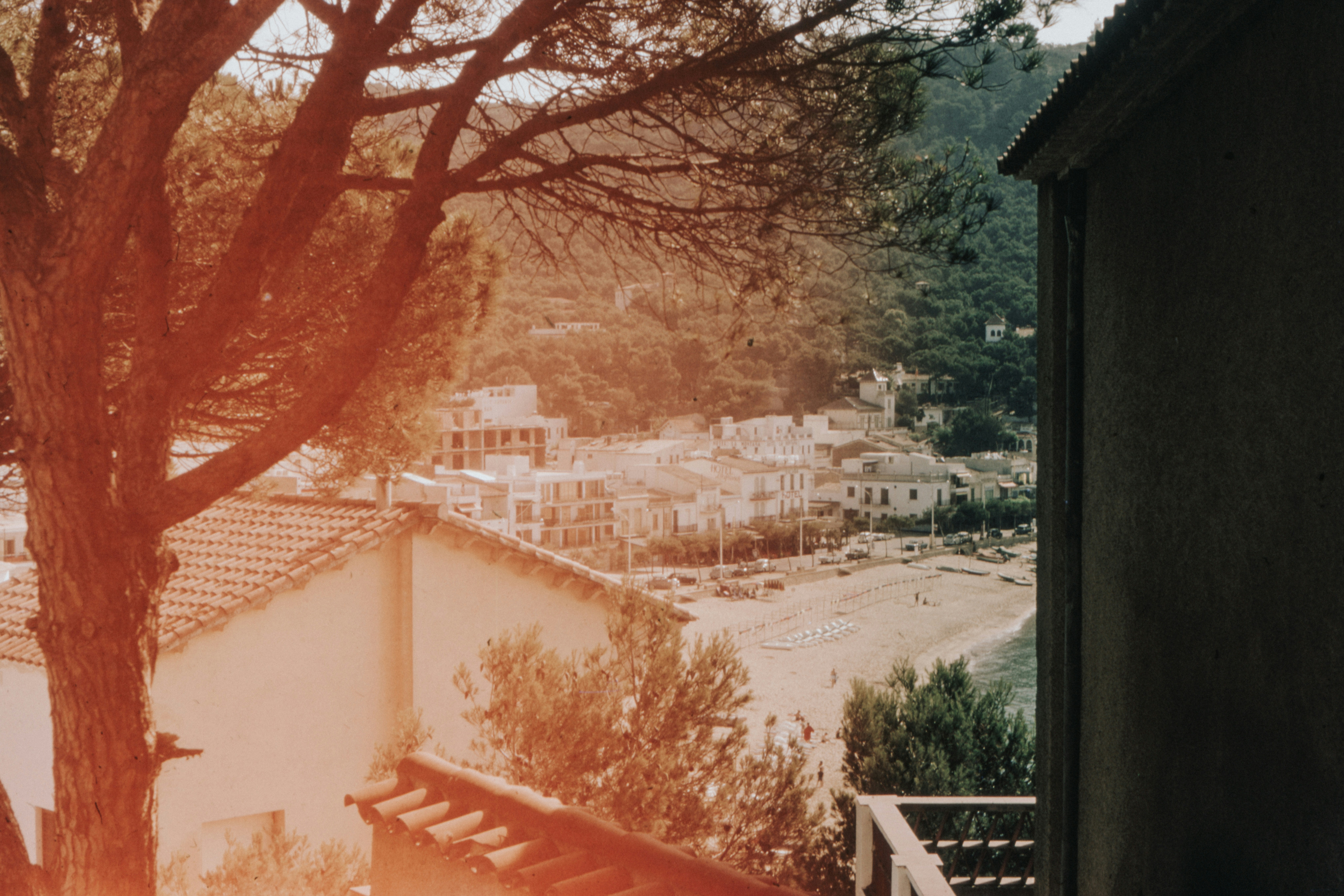 Photo by anniespratt