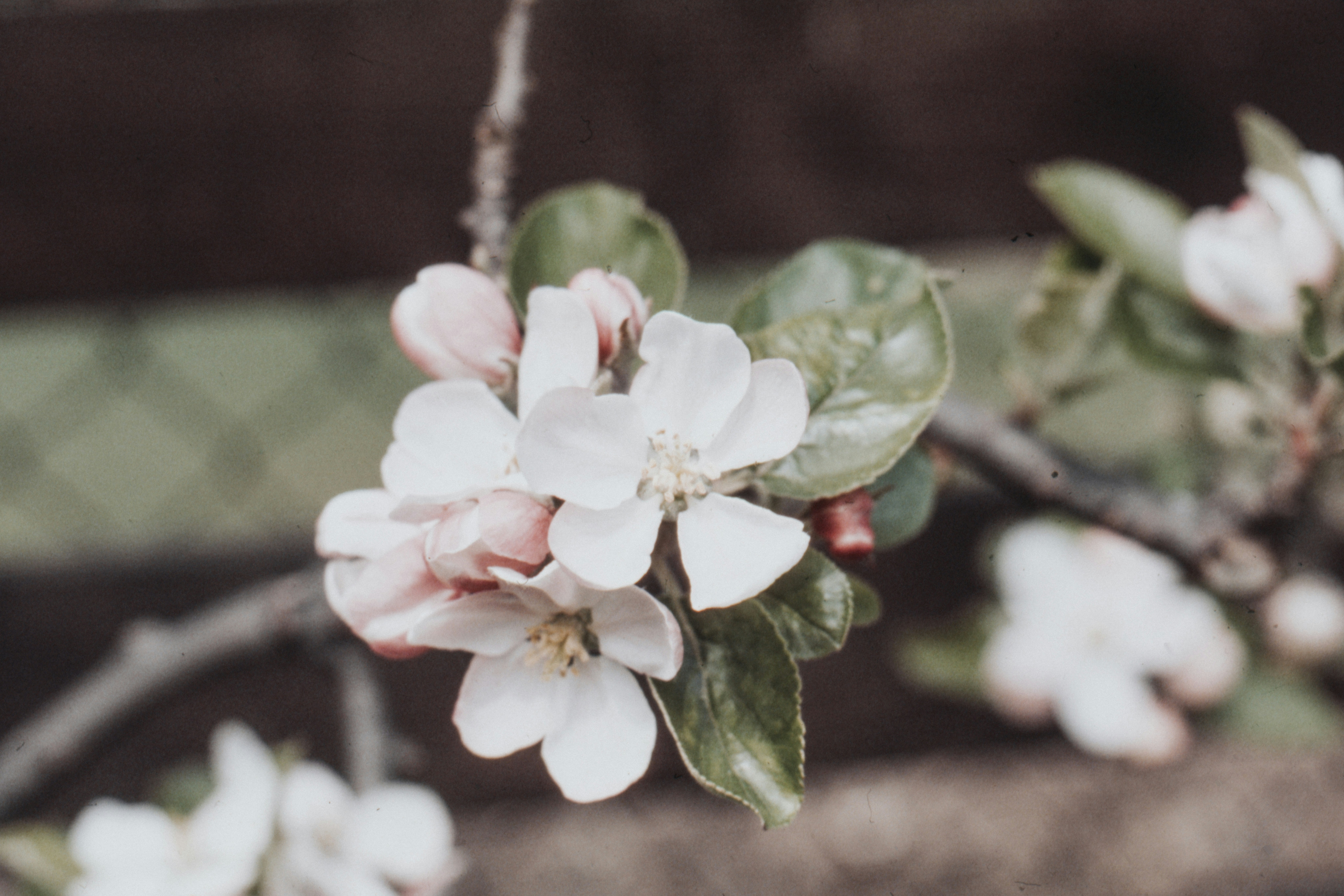 Photo by anniespratt