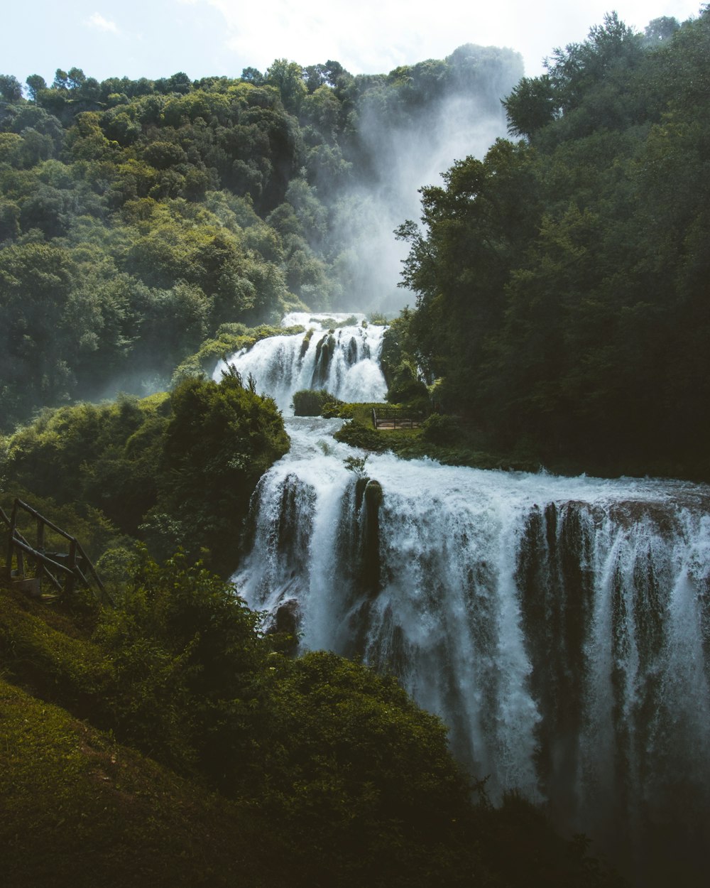 green trees beside waterfalls during daytime