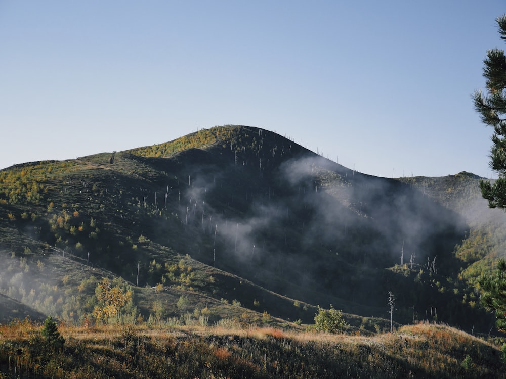 green hills white smokes photo