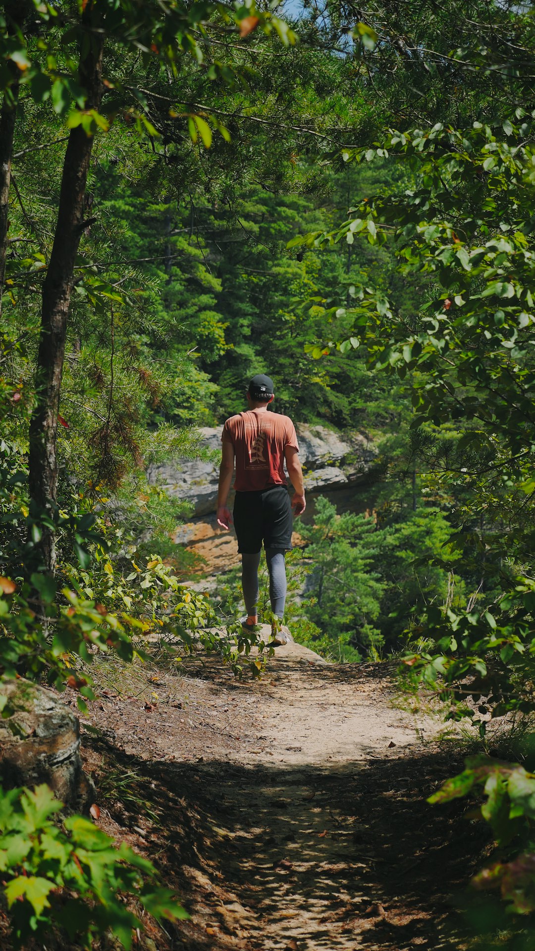 man walking on pathway between trees