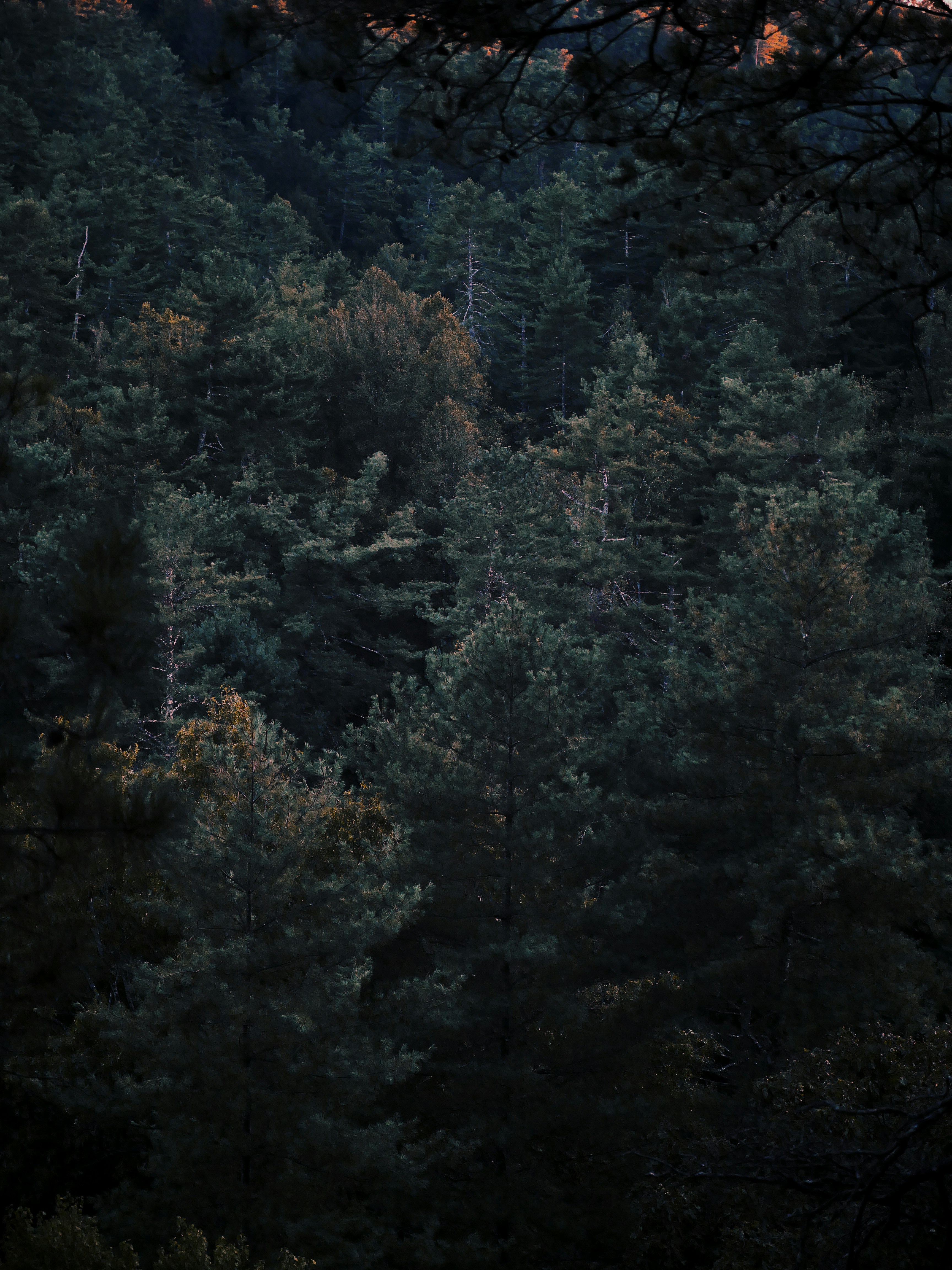 Photo by itsbrianerickson