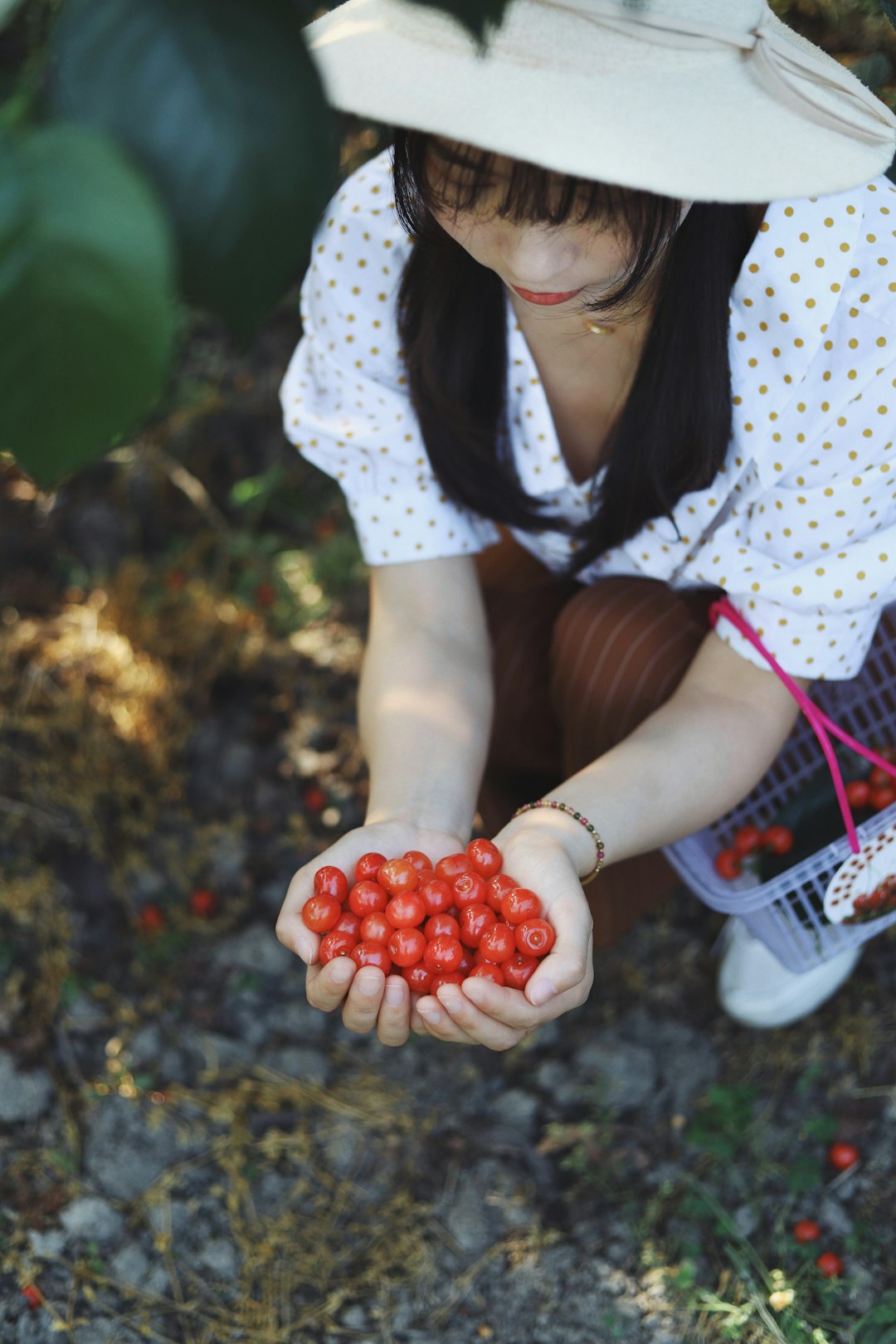 woman holding round red fruits