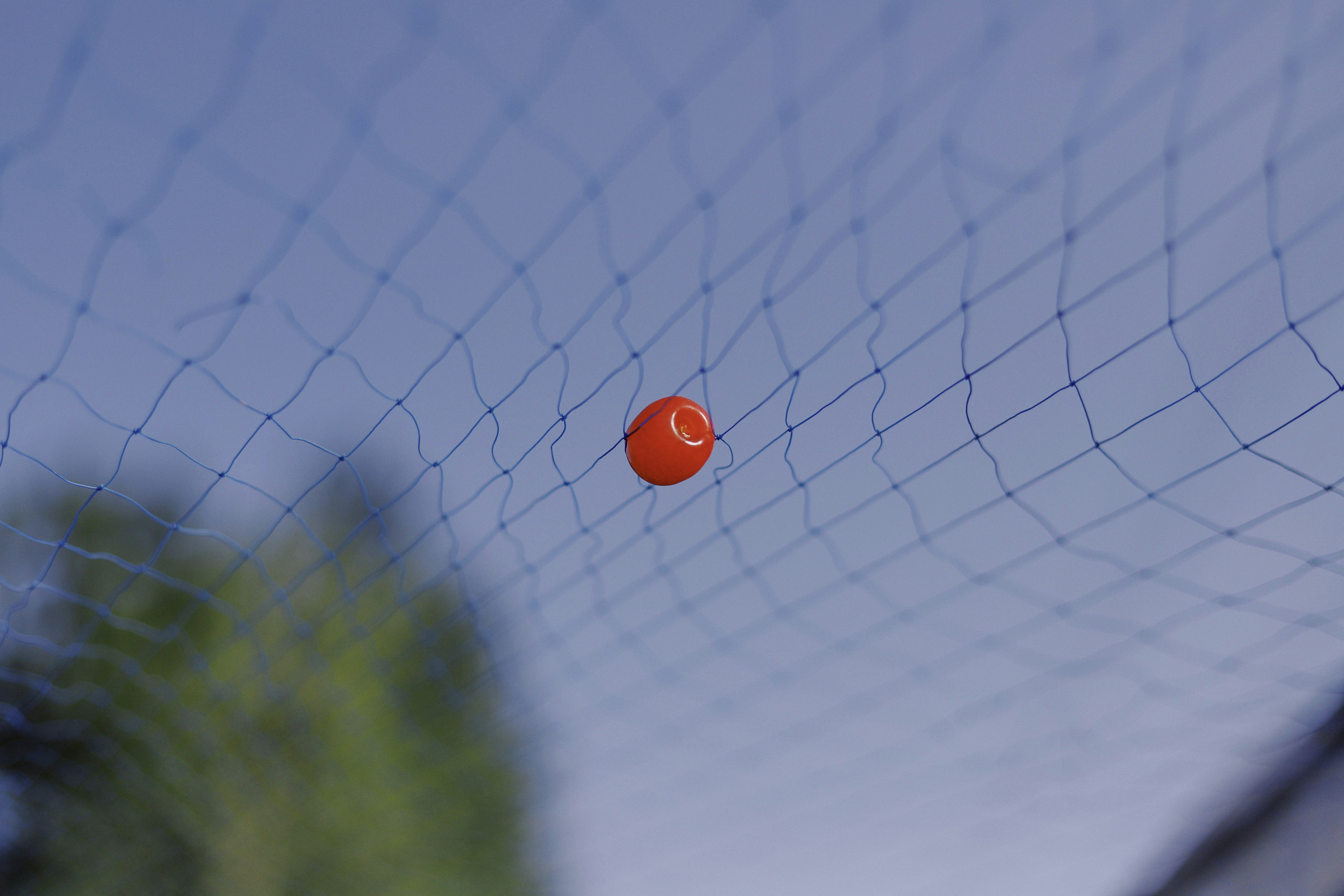 photo-1556896611-16bb0909f149?ixid=M3wxMjA3fDB8MXxzZWFyY2h8MjB8fCVFMCVCOCU5NCVFMCVCOCVCOSVFMCVCOCU5QSVFMCVCOCVBRCVFMCVCOCVBNSVFMCVCOCVBQSVFMCVCOCU5NHxlbnwwfHx8fDE3NDgyNjYxMDl8MA\u0026ixlib=rb-4.1.0