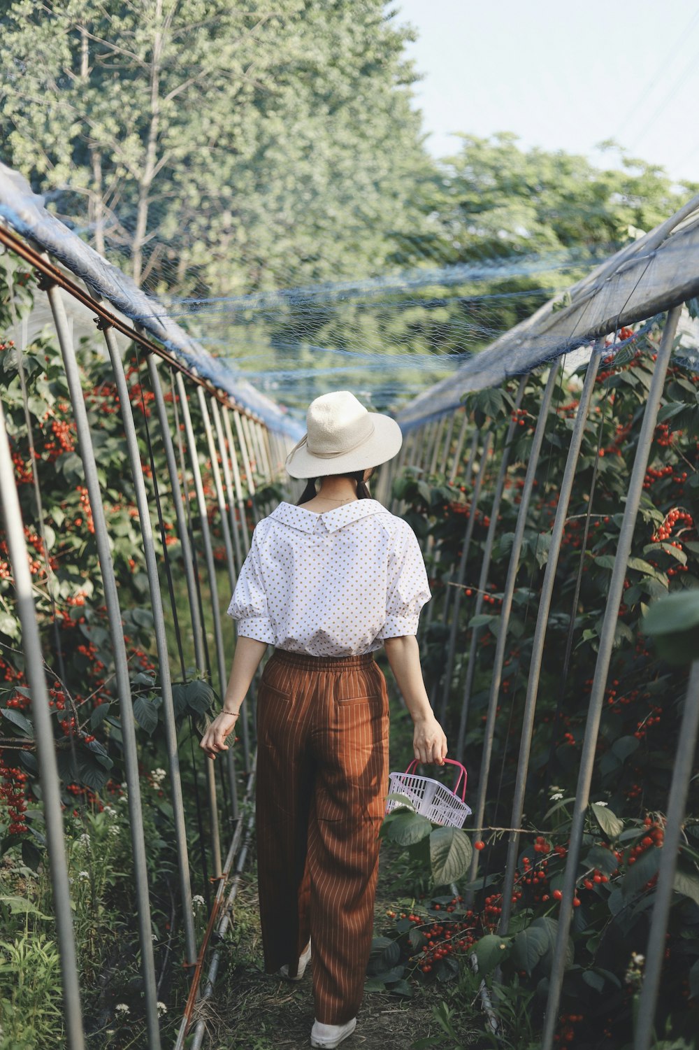 woman walking on pathway