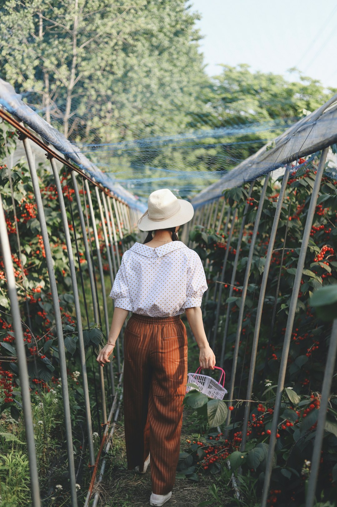 woman walking on pathway