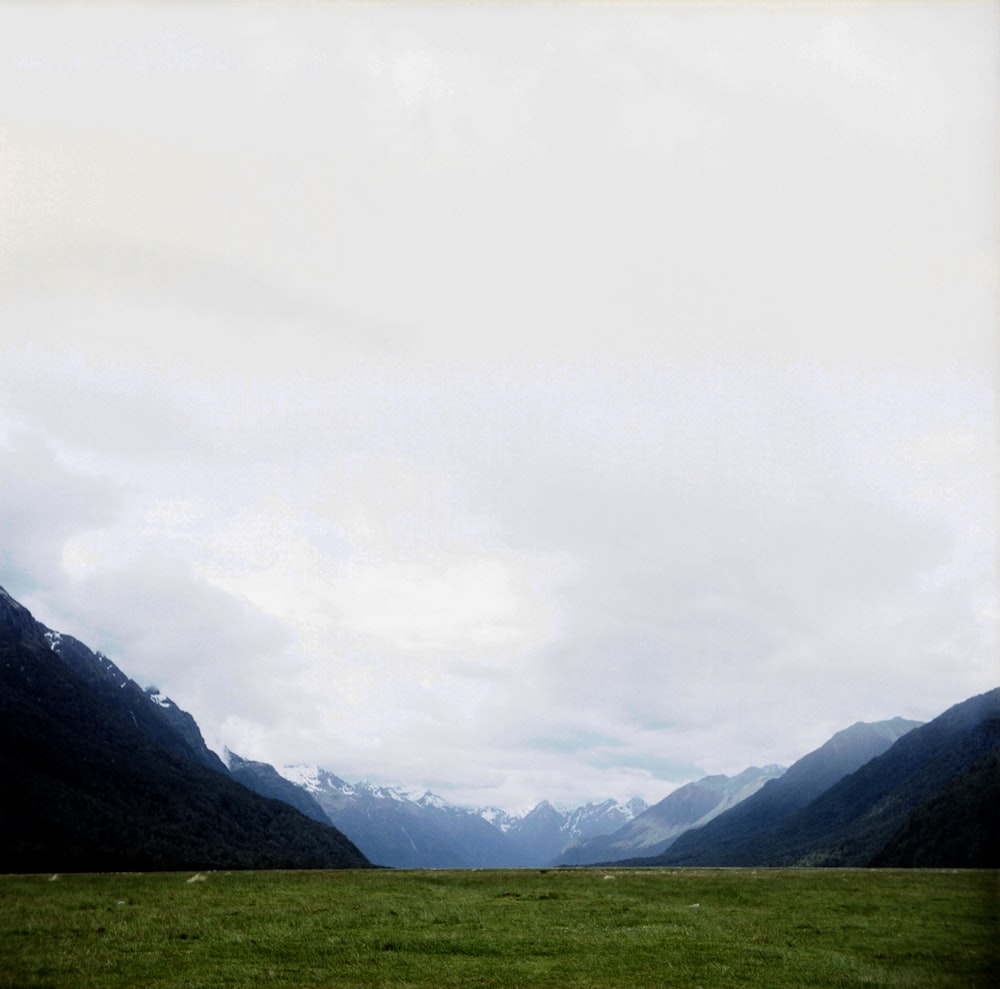 a grassy field with mountains in the background