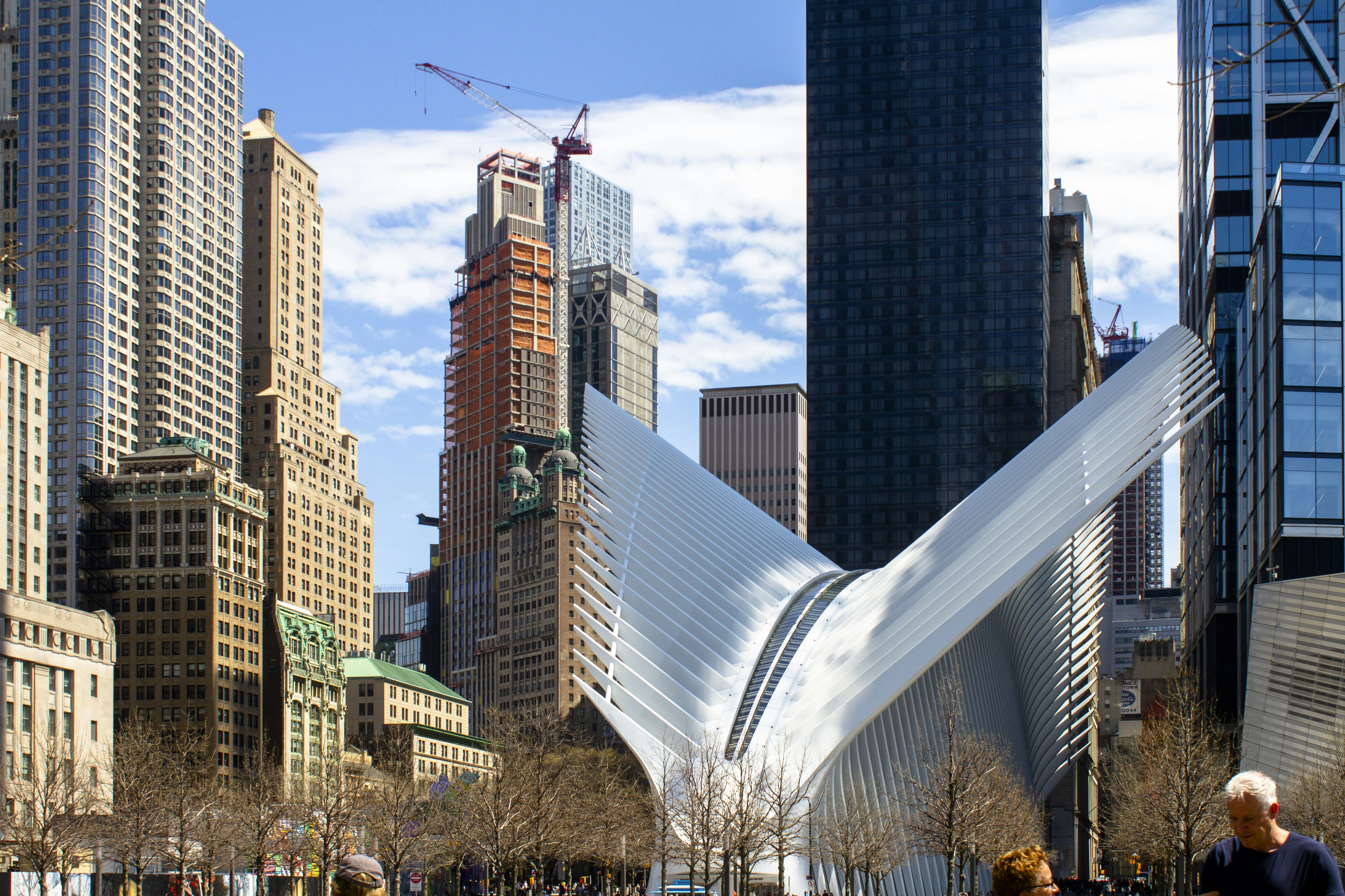 福田中心区办公人口计算_人口普查(3)