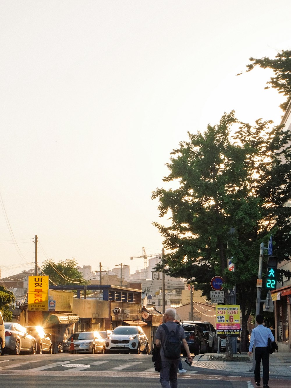 people walking near trees