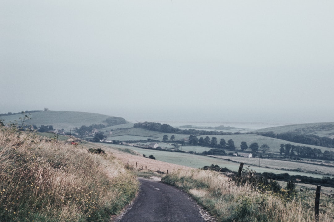 gray concrete road near green field viewing mountain