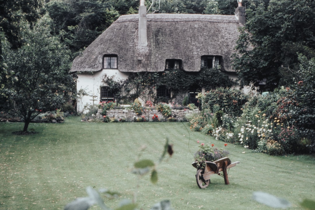 house with large garden