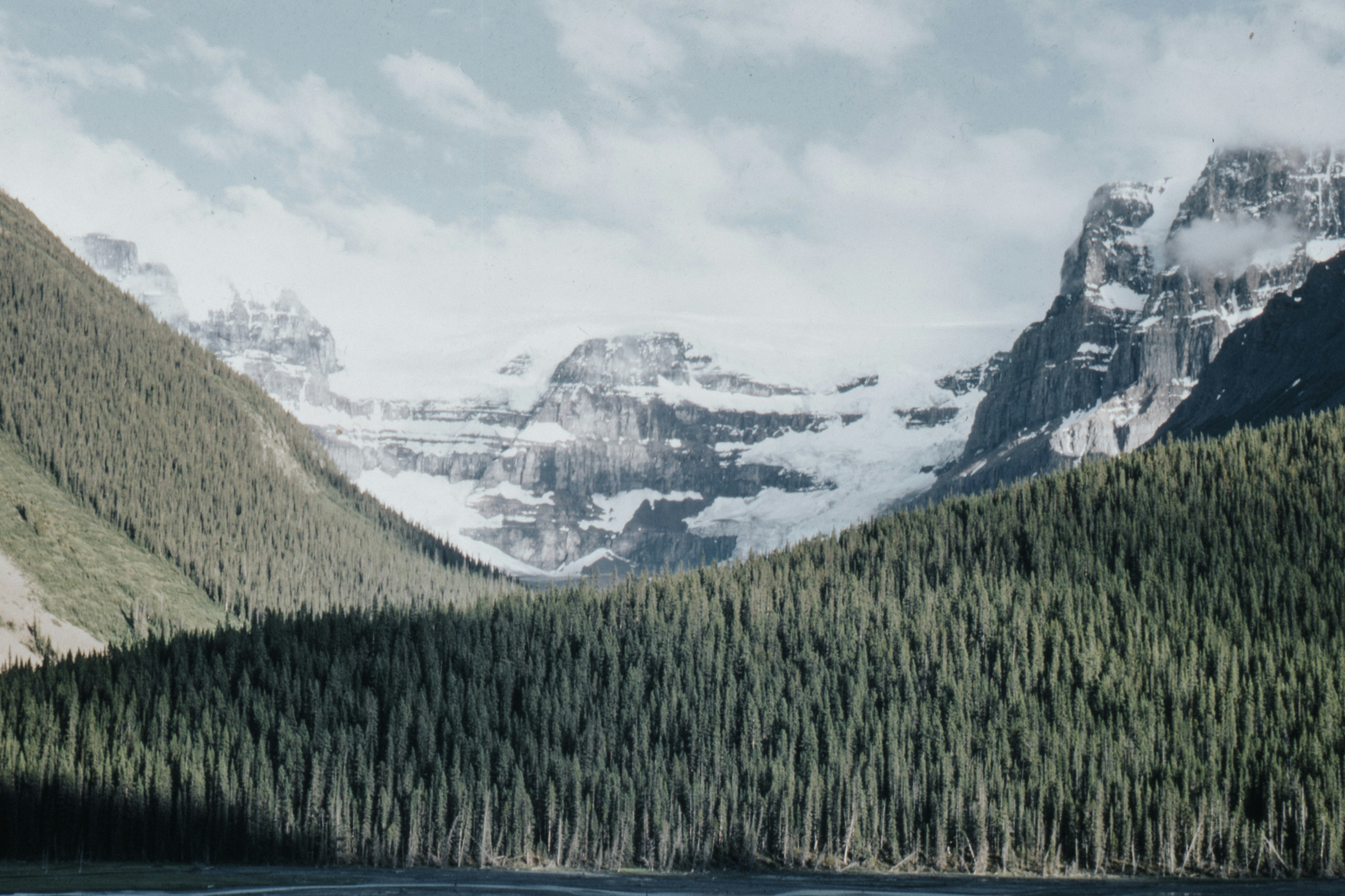 Photo by anniespratt