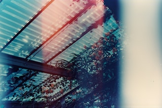 Light leaks and a dreamy effect cover a greenhouse roof made of translucent panels, through which sky and clouds are visible. Lush green foliage and vibrant orange flowers climb up the structure, creating a natural canopy.