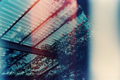 Light leaks and a dreamy effect cover a greenhouse roof made of translucent panels, through which sky and clouds are visible. Lush green foliage and vibrant orange flowers climb up the structure, creating a natural canopy.