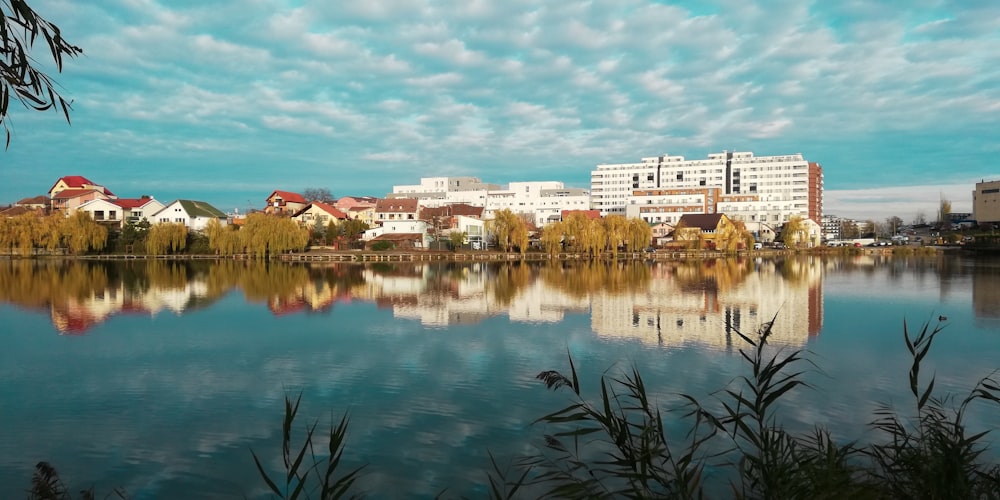 white building near body of water