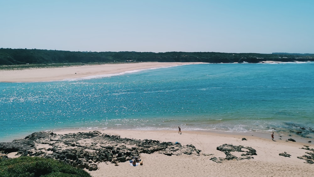 few people near seashore viewing calm sea under blue and white skies