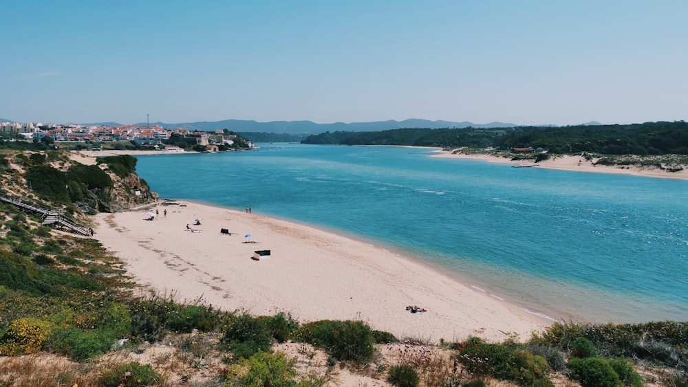 seashore during daytime