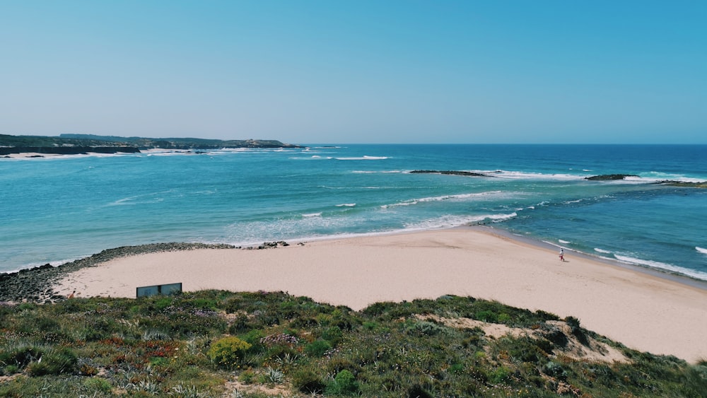 seashore viewing calm sea during daytime