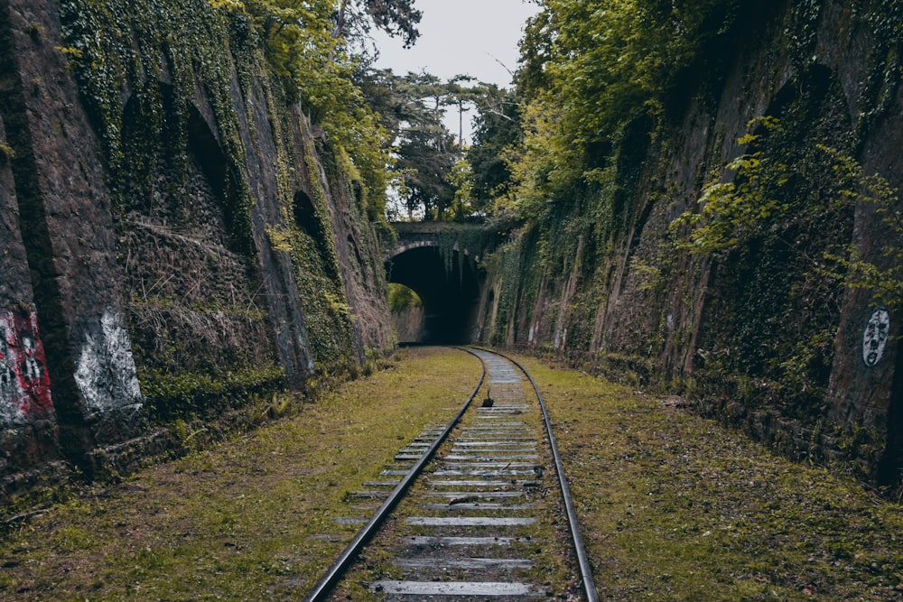 une voie ferrée traversant un tunnel avec des graffitis dessus
