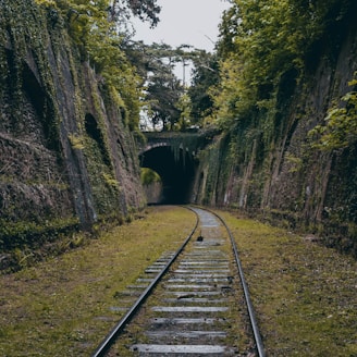 a train track going through a tunnel with graffiti on it