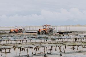 Two orange tractors with trailers are parked on a sandy beach near an oyster farm. The scene is set against a backdrop of overcast skies and distant dunes. The structured rows of oyster racks are visible in the foreground, adding an industrial feel to the coastal landscape.