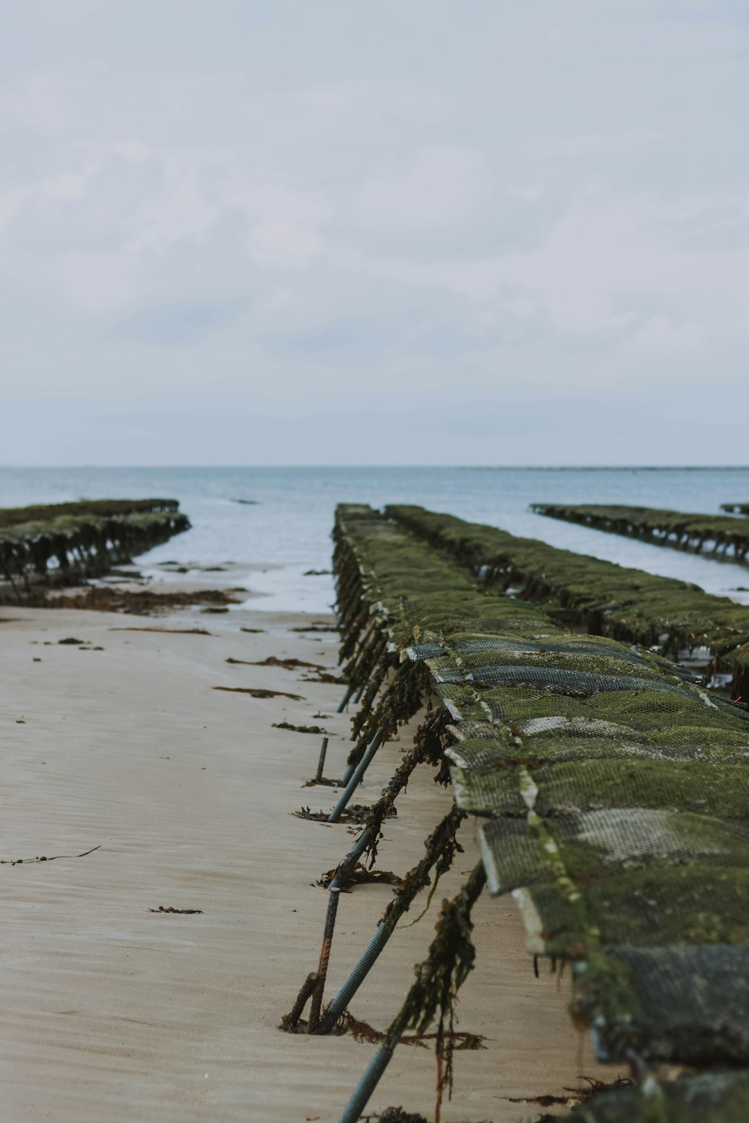 beach dock viewing blue sea